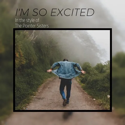 I'm So Excited - Karaoke