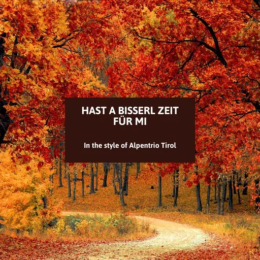 Hast a bisserl Zeit für mi - Karaoke
