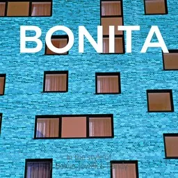 Titelbild für Bonita - J. Balvin,Jowell & Randy Karaoke-Version