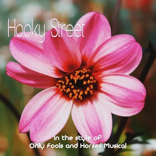 Karaoke Hooky Street av Only Fools and Horses Musical — sjung med på texten på Singa