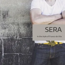 Cover art for Sera - Franco de Vita karaoke version