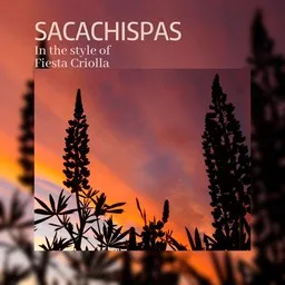 Cover art for Sacachispas - Fiesta Criolla karaoke version
