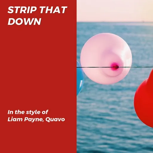 Karaoke Strip That Down by Liam Payne, Quavo — sing along with lyrics on Singa