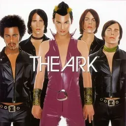 Cover art for Echo Chamber - The Ark karaoke version