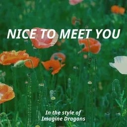 Cover art for Nice to meet you - Imagine Dragons karaoke version