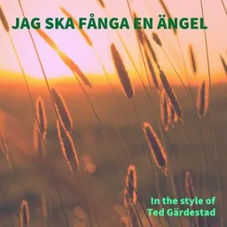 Karaokekappaleen Jag ska fånga en ängel - Ted Gärdestad kansikuva