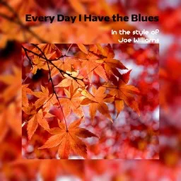 Karaokekappaleen Every Day I Have the Blues - Joe Williams kansikuva