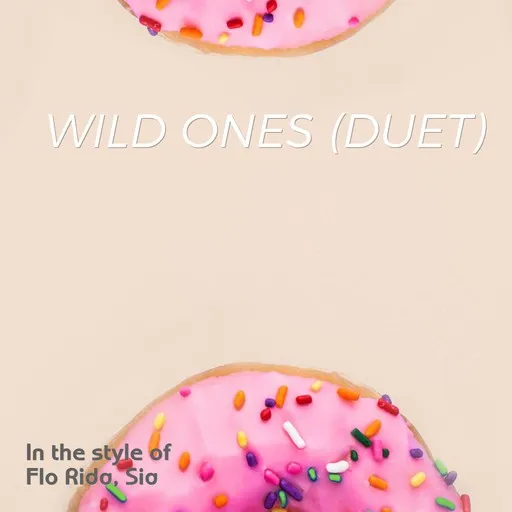 Karaoke Wild Ones (Duet) esittäjältä Flo Rida, Sia — laula mukana sanoituksilla Singassa