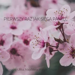 Cover art for Pierwszy raz jak sięga pamięć - Frozen Soundtrack,Katarzyna Łaska,Kraina Lodu,Magdalena Wasylik karaoke version