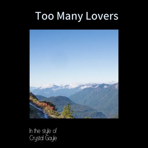 Too Many Lovers - Karaoke
