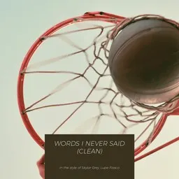 Cover art for Words I Never Said (clean) - Lupe Fiasco,Skylar Grey karaoke version