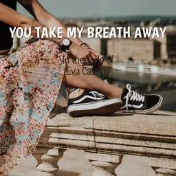 Cover art for You Take My Breath Away - Eva Cassidy karaoke version