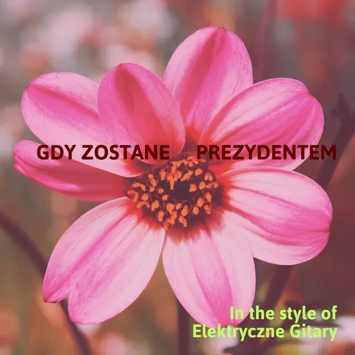 Gdy zostanę prezydentem - Karaoke