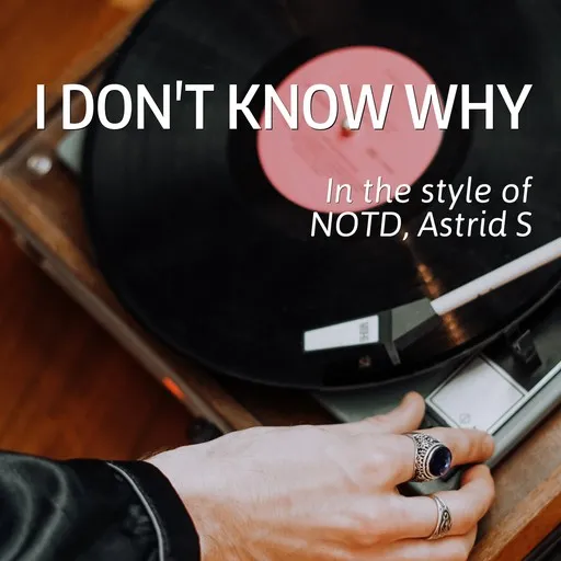 Karaoke I Don't Know Why by Astrid S, NOTD — sing along with lyrics on Singa