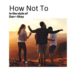 Cover art for How Not To - Dan + Shay karaoke version