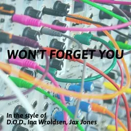 Karaokekappaleen Won't Forget You - D.O.D.,Ina Wroldsen,Jax Jones kansikuva