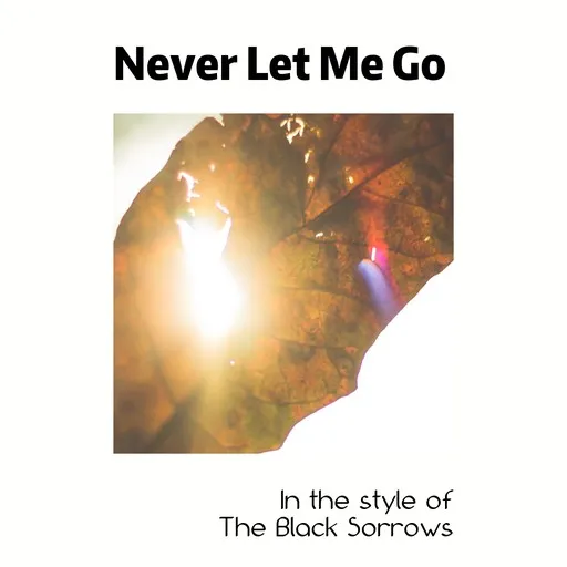 Karaoke Never Let Me Go by The Black Sorrows — sing along with lyrics on Singa