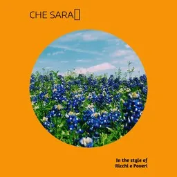 Cover art for Che Sarà - Ricchi e Poveri karaoke version