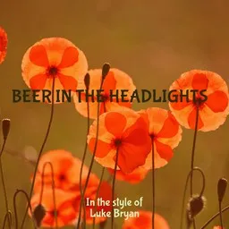 Cover art for Beer In the Headlights - Luke Bryan karaoke version