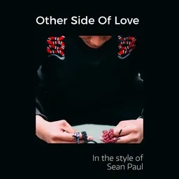 Cover art for Other Side Of Love - Sean Paul karaoke version