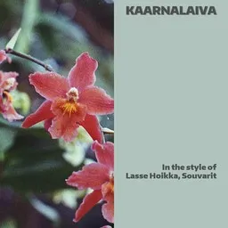 Cover art for Kaarnalaiva - Lasse Hoikka,Souvarit karaoke version