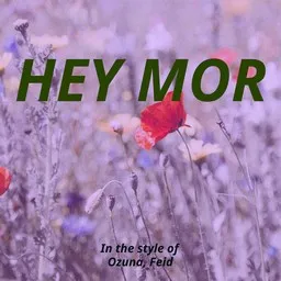 Omslagsbild för Hey Mor - Feid,Ozuna karaokeversion