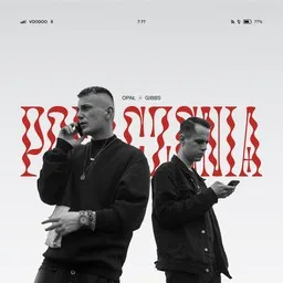 Cover art for Bazgroł - Gibbs,Opal karaoke version