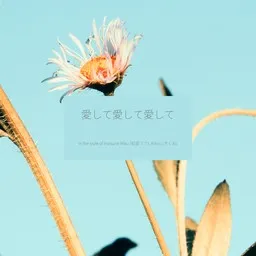 Cover art for 愛して愛して愛して - Hatsune Miku (初音ミク),Kikuo (きくお) karaoke version
