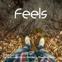 Cover art for Feels - Big Sean,Calvin Harris,Katy Perry,Pharrell Williams karaoke version
