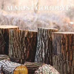 Titelbild für Almost Goodbye - Mark Chesnutt Karaoke-Version