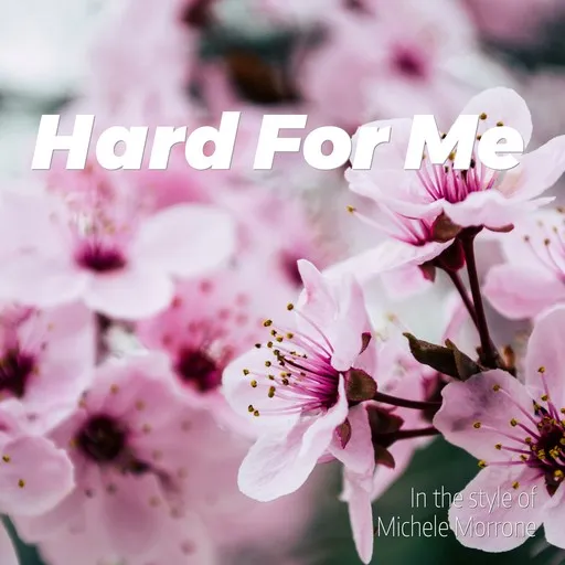 Karaoke Hard For Me esittäjältä Michele Morrone — laula mukana sanoituksilla Singassa