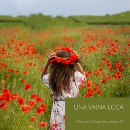 Cover art for Una Vaina Loca - Boy Wonder CF,Fuego karaoke version