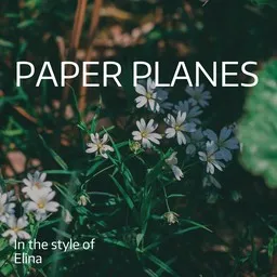 Cover art for Paper Planes - Elina karaoke version