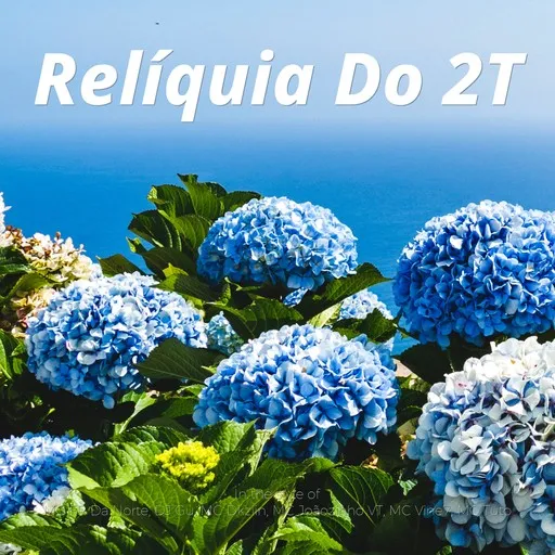 Relíquia Do 2T - Karaoke