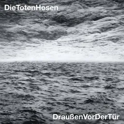 Cover art for Draußen vor der Tür - Die Toten Hosen karaoke version
