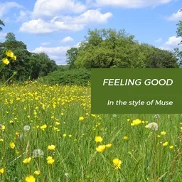 Cover art for Feeling Good - Muse karaoke version