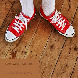 Cover art for Don't Waste My Time - Little Big Town karaoke version