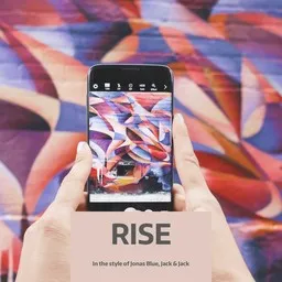 Cover art for Rise - Jack & Jack,Jonas Blue karaoke version