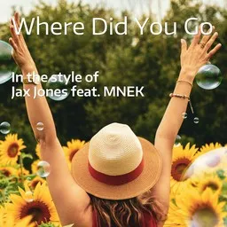 Karaokekappaleen Where Did You Go - Jax Jones,MNEK kansikuva