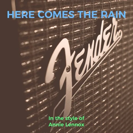 Here Comes The Rain - Karaoke