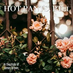 Cover art for Hot Pants, Pt. 1 - James Brown karaoke version