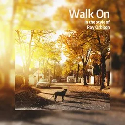 Cover art for Walk On - Roy Orbison karaoke version