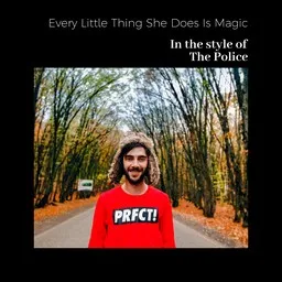 Cover art for Every Little Thing She Does Is Magic - The Police karaoke version
