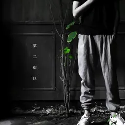 Cover art for 霓端 - 葛东琪 karaoke version