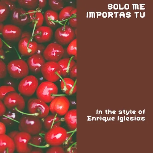 Solo Me Importas Tu - Karaoke