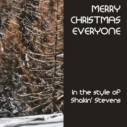 Cover art for Merry Christmas Everyone - Shakin' Stevens karaoke version