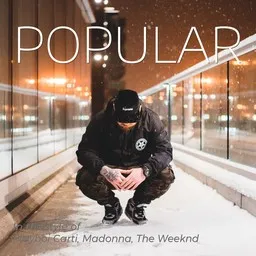 Karaokekappaleen Popular - Madonna,Playboi Carti,The Weeknd kansikuva
