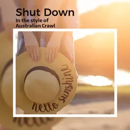 Cover art for Shut Down - Australian Crawl karaoke version