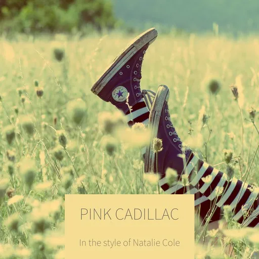 Pink Cadillac - Karaoke