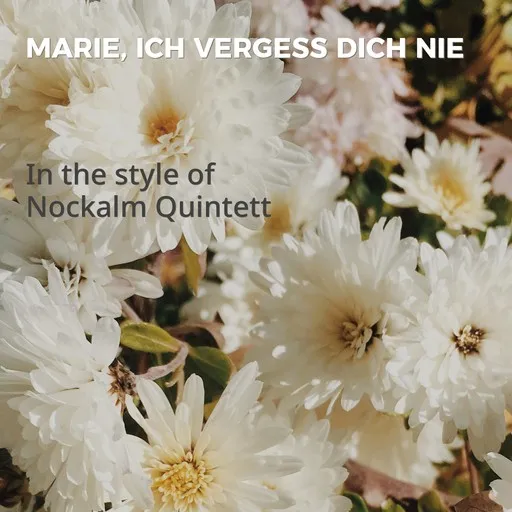Karaoke Marie, ich vergess dich nie by Nockalm Quintett — sing along with lyrics on Singa